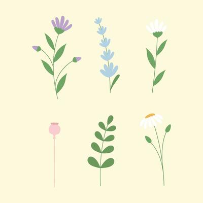 Vector hand drawn beautiful flowers collection