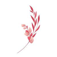 Vector beautiful flowers illustration