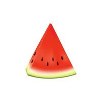 Vector realistic detailed 3d sliced ripe red watermelon