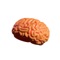 brain 3d icon illustration png