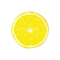 Vector slice ripe lemon citrus fruit on a white