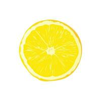 Vector slice ripe lemon citrus fruit on a white