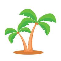 Vector palm trees flat vector illustration on white background