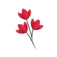 Vector realistic flowers illustration on white background