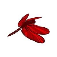 nice dragonfly illustration logo vector