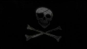 Pirate flag number digital video