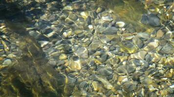 parte inferiore di il fiume video