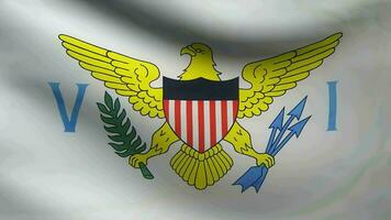 Flag of the United States Virgin Islands waving video