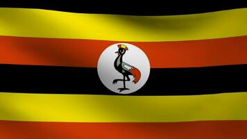 Uganda flag waving video