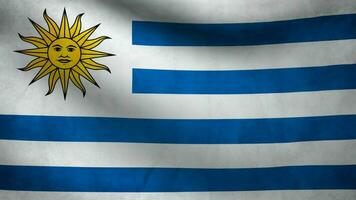 Uruguay flag waving video