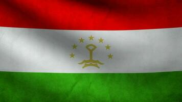 vlag van Tadzjikistan golvend Bij wind video