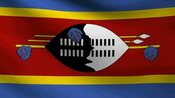 Flag of Swaziland waving at wind video