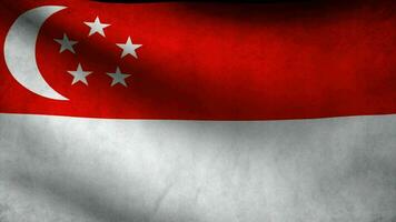 onduler le drapeau de singapour video