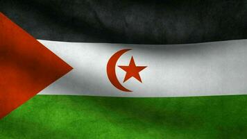 Western Sahara flag waving video