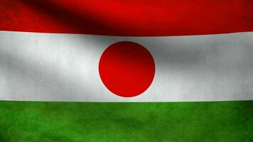 Flag of Niger waving video