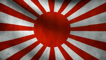 Rising Sun Flag japanese waving video