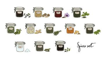 spices in jars, big set, part 1. collection hand drawn vector illustration.