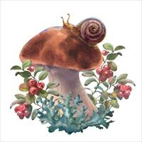 Mushrooms forest boletus with moss, lingonberries and snail. Watercolor illustration, hand drawn, Isolated on a white background. vector