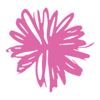 Hand drawing pink flower illustration png