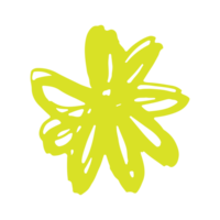 Hand drawing flower illustration png