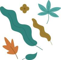 Set of leaf's illustrations vector