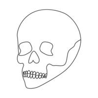 Continuous one line drawing of  skull outline vector art illustration