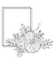 Thanksgiving Frame Outline. Pumpkins Line Art Illustration, Outline Pumpkin arrangement Hand Drawn Illustration. Coloring Page with Pumpkins.  Thanksgiving Pumpkins set vector