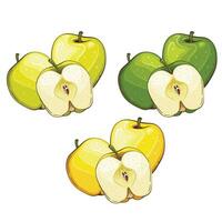 Apple isolated vector illustration. Fruits colorful illustrations isolated on white background.  Fruit collection.