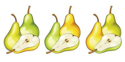 Pear isolated vector illustration. Fruits colorful illustrations isolated on white background.  Fruit collection.