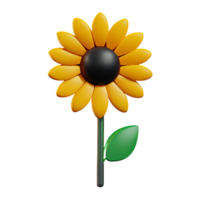 sunflower 3d icon illustration png