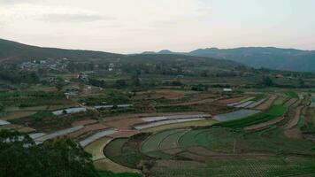 terra e Campos dentro Yunnan, China. video