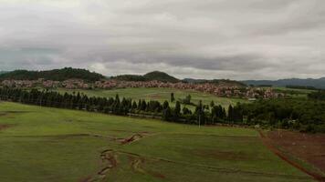 césped y arboles en xundian, yunnan, porcelana. video