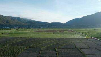 jordbruksmark och fält i Yunnan, Kina. video