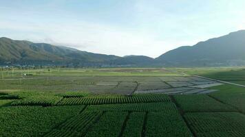 Farmland and fields in Yunnan, China. video