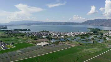 velden en dorpen in dali, Yunnan, China. video