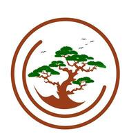 Bonsai tree illustration logo design on white background vector