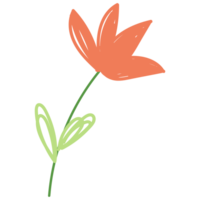 Flowers in hand drawn style. Floral and leaves elements. png