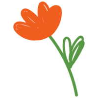 Flowers in hand drawn style. Floral and leaves elements. png