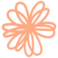 Flowers in hand drawn style. Floral and leaves elements. png