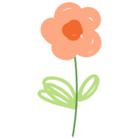 flores dentro mão desenhado estilo. floral e folhas elementos. png