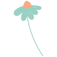 Flowers in hand drawn style. Floral and leaves elements. png