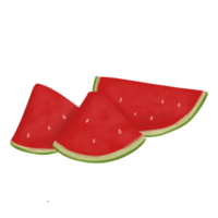 vattenmelon tropisk frukt png