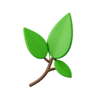 leaf 3d illustration icon png