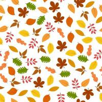 Seamless pattern with autumn leaves. Vector illustration.