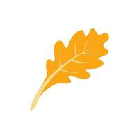 Oak leaf  Autumn icon vector