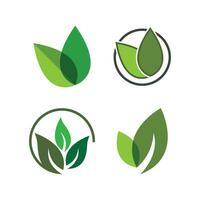 Eco Tree Leaf vector