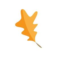 Oak leaf  Autumn icon vector