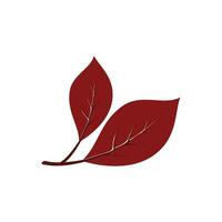 Oak leaf  Autumn icon vector