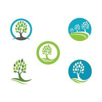 Logos of green Tree leaf ecology vector