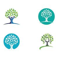 Logos of green Tree leaf ecology vector